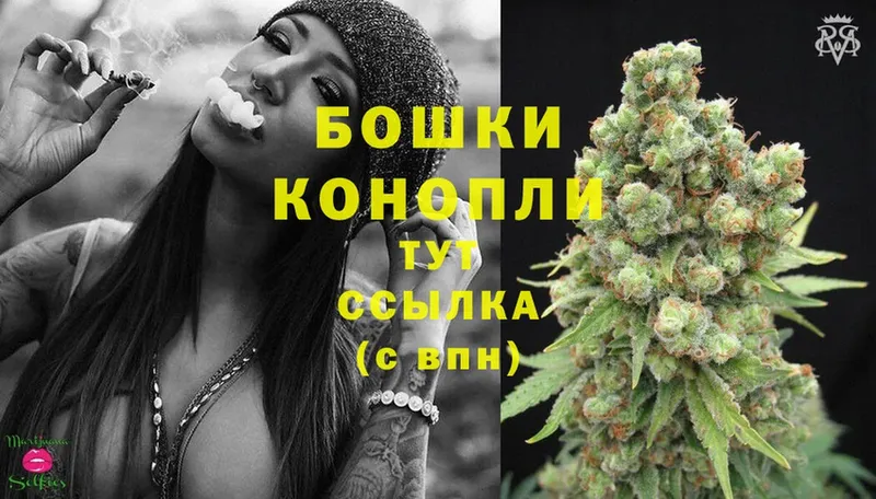 купить   Новопавловск  Каннабис OG Kush 